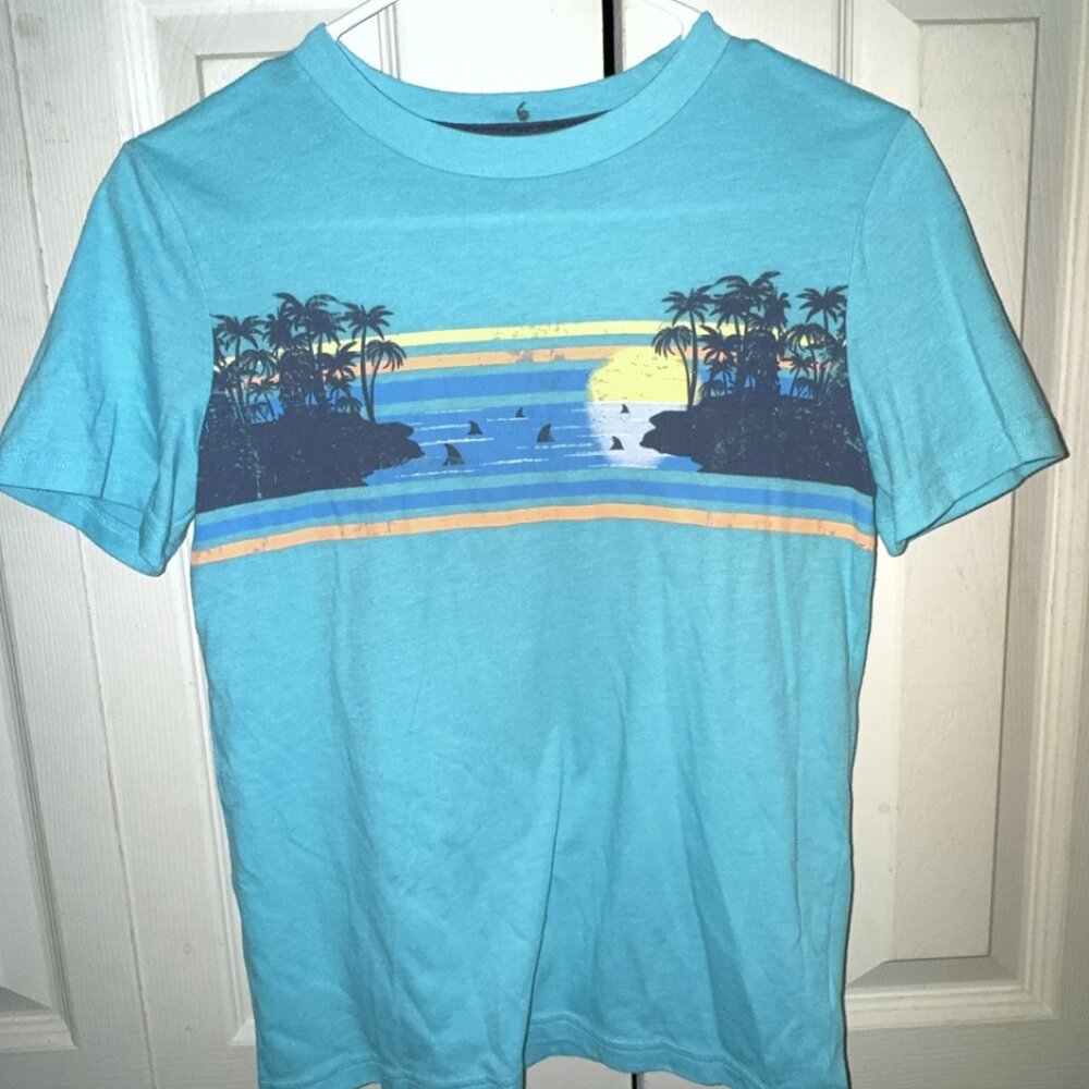 Arizona Boys Torquoise Dressy T Shirt